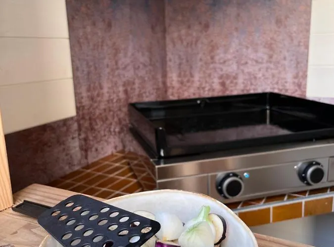 Ocean Lodge_plage Bourdaines * Seignosse